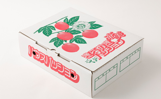 【2026年発送】先行受付 天城町 南部ガーデン パッションフルーツ 贈答用 1kg  果物 果実 フルーツ 常温 国産 九州 鹿児島県 天城町 