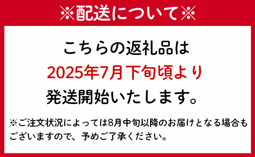 【2025年発送】先行受付 徳之島 天城町産 完全無加温 完熟 マンゴー Ａ品 2kg 贈答