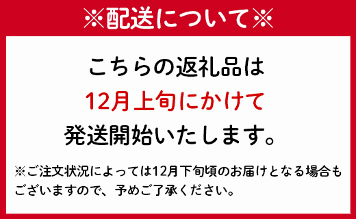 徳之島 天城町 吉川果樹園 アールスメロン 2Lサイズ 2玉 メロン マスクメロン