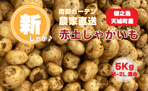 【新じゃが】徳之島 天城町産 赤土じゃがいも 5kg M～2L 混合サイズ 南部ガーデン ジャガイモ ばれいしょ バレイショ CB-5