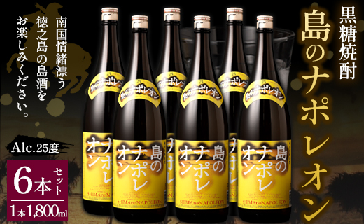 【鹿児島県天城町】黒糖焼酎 島のナポレオン 1,800ml×6本セット 合計10.8L 瓶 酒 焼酎