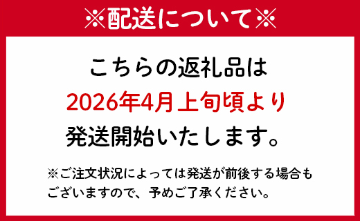 【先行受付】徳之島 天城町産 パイナップル 約2kg 2玉～3玉 スムースカイエン パイン フルーツ 果物