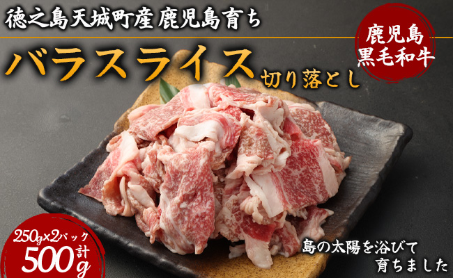 徳之島 天城町産 鹿児島育ち 鹿児島黒毛和牛 切り落とし 合計500g 250g×2パック バラ スライス