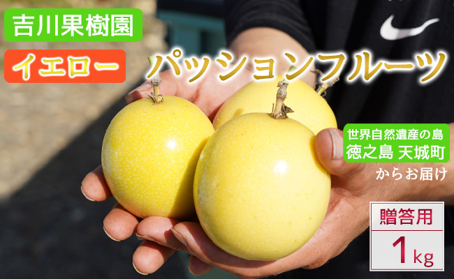 徳之島 天城町 吉川果樹園  贈答用 イエローパッションフルーツ 約1kg パッションフルーツ 