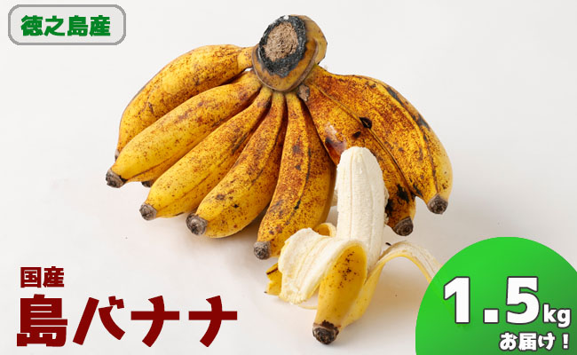 【鹿児島県天城町】徳之島子宝バナナ 1.5ｋｇ 島バナナ バナナ
