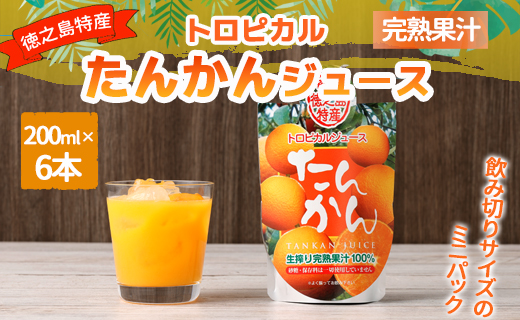 天城町産  生搾り完熟果汁100％ 宝果樹園 ミニタンカンジュース 6本セット（200ml×6本） 合計約1.2L タンカン 果汁飲料 たんかん 果汁100％ ジュース 飲み物 ドリンク 果物 くだもの セット 九州 鹿児島県 天城町 常温