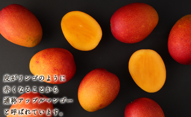 【2024年8月上旬発送開始】 徳之島 天城町産 宝果樹園 完熟マンゴー A品 1kg 贈答用 マンゴー