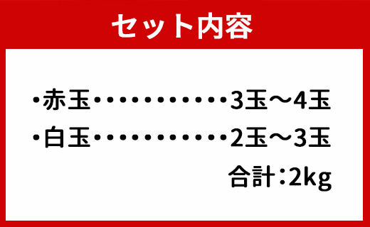 徳之島 天城町産 ドラゴンフルーツ 赤白混合 約2kg 家庭用 トロピカルフルーツ フルーツ 果物 果実 ピタヤ