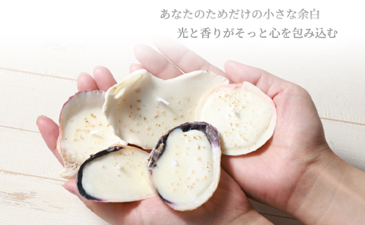 徳之島の貝殻を使用したアロマキャンドル 5個セット アロマキャンドル キャンドル 貝殻 癒し 鹿児島県 徳之島 天城町