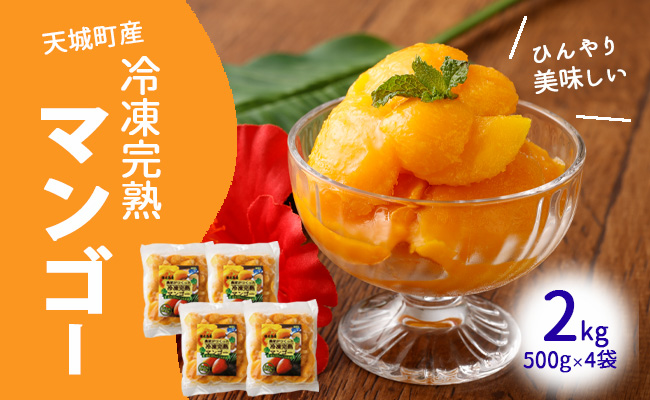 鹿児島県 徳之島 天城町産 冷凍 完熟 マンゴー 2kg（500g×4袋）冷凍マンゴー フルーツ