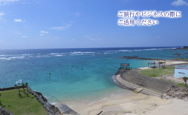 鹿児島県 徳之島 天城町 レンタカー 1日利用券 軽自動車 ビジネス 旅行 チケット