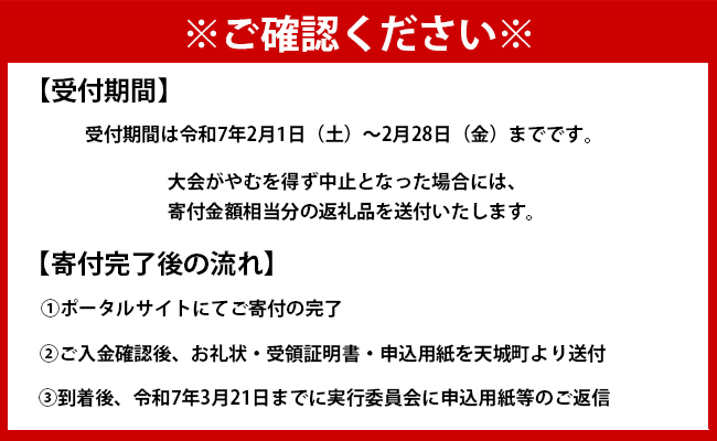 【数量限定】第38回！トライアスロン大会ＩＮ徳之島　大会参加券 トライアスロン スポーツ イベント