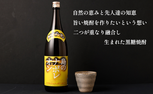 【鹿児島県 天城町】黒糖焼酎 島のナポレオン 1,800ml×2本セット 瓶 焼酎 A-54-N