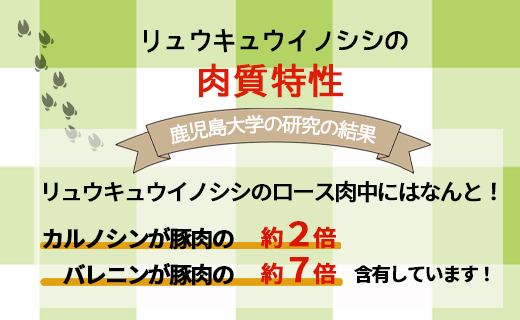 【鹿児島県徳之島】 イノシシ モモ肉 （サイコロカット） 猪 サイコロ ジビエ 1kg AI-21-N