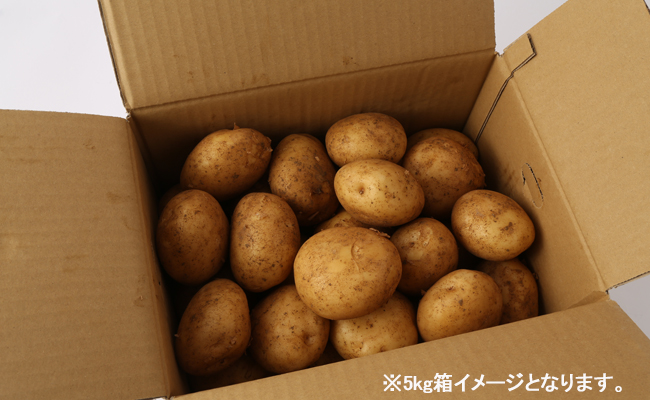 徳之島 天城町産 赤土ばれいしょ 新じゃが 春一番 5kg L～2L 混合サイズ ジャガイモ じゃがいも バレイショ