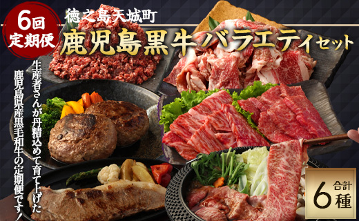 【6回定期便】鹿児島黒牛 バラエティセット 焼肉 すき焼き ステーキ バラスライス 和牛ミンチ ハンバーグ 鹿児島牛 鹿児島黒牛 黒牛 ロース カルビ バラ 冷凍 定期便 6回