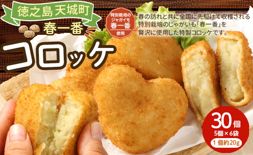 徳之島 春一番 コロッケ 30個 セット （5個×6袋） 1個当たり約60g 計約1.8kg じゃがいも 惣菜 おかず 冷凍 鹿児島 天城町