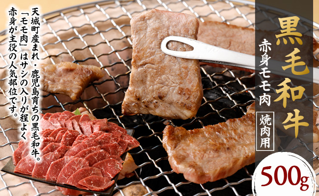 鹿児島黒毛和牛 赤身 モモ肉 焼肉用 500g 国産 牛肉 もも肉