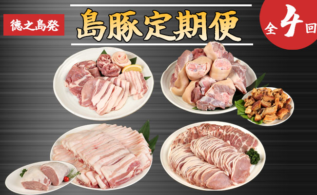 徳之島産 島豚 定期便 年4回 島豚 焼き肉 ロース 肩ロース しゃぶしゃぶ 豚足 三枚肉