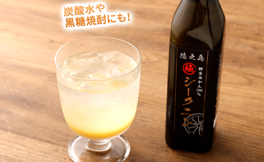 徳之島 天城町 野生みかん100％ シークニン果汁 2本（300ml×2本 計600ml）シークニン 果汁 野生 みかん