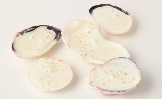 徳之島の貝殻を使用したアロマキャンドル 5個セット アロマキャンドル キャンドル 貝殻 癒し 鹿児島県 徳之島 天城町