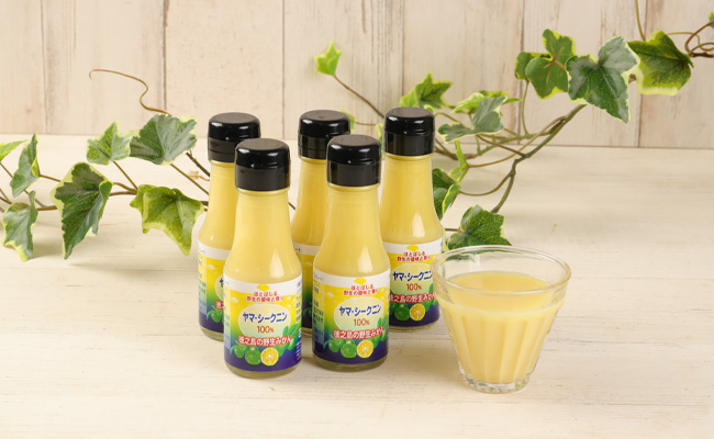 鹿児島県 徳之島 天城町 ヤマ・シークニン シークヮーサー 100％ 果汁 3本（70ml×3） 島みかん