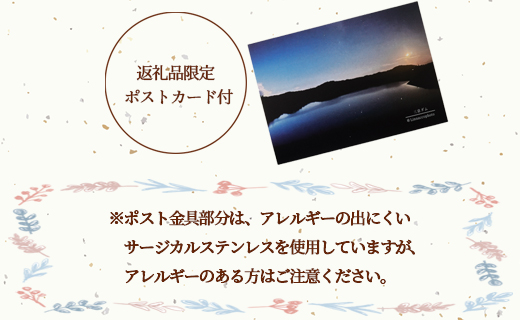 鹿児島県 天城町 土星 ピアス 水晶 1個 天然石ビーズ パワーストーン 両耳用 サージカルステンレス 幅2cm アクセサリー ファッション レディース 宇宙 女性 