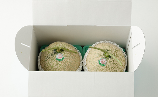 徳之島 天城町 吉川果樹園 アールスメロン Lサイズ 2玉 メロン マスクメロン