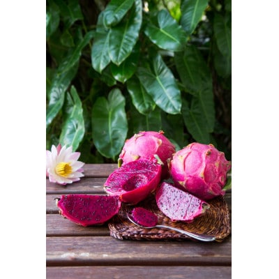 ãã©ãŽã³ãã«ãŒã(èµ€)3kgãé
éäžå¯å°åïŒé¢å³¶ãã1430351ã