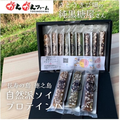 ソイバー12本ギフトセット【配送不可地域：離島】【1719462】