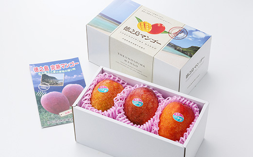 【先行予約!2026年7月より順次発送】 清水果樹園 マンゴー 約2kg(化粧箱入り)【配送不可地域：離島】【1425293】