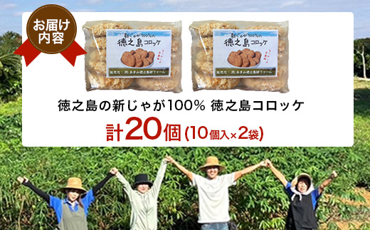 【先行予約! 2026年5月上旬〜発送】徳之島 コロッケ 10個入り×2袋 【絆ファーム】【配送不可地域：離島】【1404633】