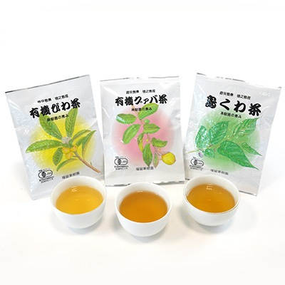 遖冗蕗譫懈ィケ蝨偵ョ蛛・蠎キ闌カ繧サ繝繝