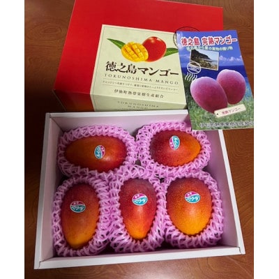 先行予約!2026年7月発送 徳之島 伊仙町 盛農園より徳之島マンゴー 約2kgをお届け!【化粧箱】【配送不可地域：離島】【1535544】