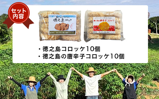 縲仙郁。御コ育エ! 2026蟷エ5譛井ク頑流縲懃匱騾√大セウ荵句ウカ繧ウ繝ュ繝繧ア 蠕ウ荵句ウカ蜚占セ帛ュ舌さ繝ュ繝繧ア 險20蛟(蜷10蛟句・)縲宣埼∽ク榊庄蝨ー蝓滂シ夐屬蟲カ縲代1427230縲