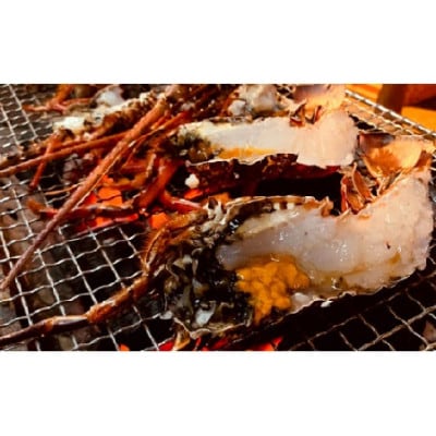 富山さん家の「伊勢海老」約2kg【配送不可地域：離島】【1656659】