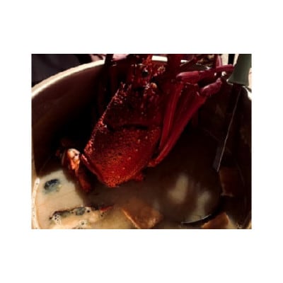 富山さん家の「伊勢海老」約2kg【配送不可地域：離島】【1656659】