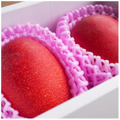 先行予約!2026年7月発送 徳之島 伊仙町 盛農園より徳之島マンゴー 約2kgをお届け!【化粧箱】【配送不可地域：離島】【1535544】