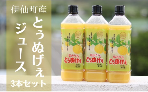 蟲カ縺ソ縺九s縺ィ縺縺ャ縺偵∞繧ク繝・繝シ繧ケ縲3譛ャ繧サ繝繝
