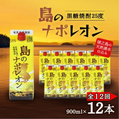 【毎月定期便】奄美黒糖焼酎 島のナポレオン 900ml 紙パック 12本セット全12回【4074147】