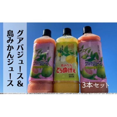 グァバ&島みかんジュース　3本セット