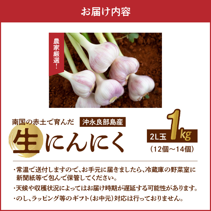 【2026年先行予約】農家厳選！南国の赤土で育んだ 沖永良部島産 生にんにく 2L玉 1kg【3月下旬～4月下旬】　W041-001u