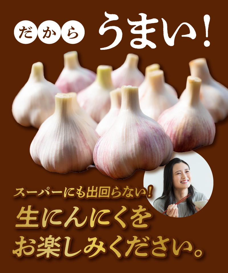 【2026年先行予約】農家厳選！南国の赤土で育んだ 沖永良部島産 生にんにく 2L玉 1kg【3月下旬～4月下旬】　W041-001u