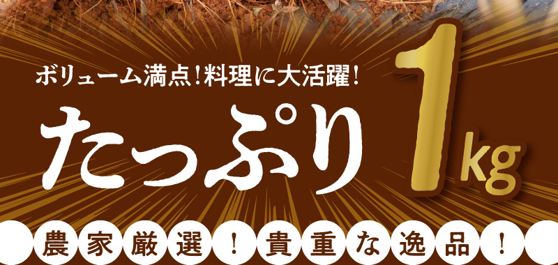 【2025年先行予約】農家厳選！南国の赤土で育んだ 沖永良部島産 生にんにく 2L玉 1kg【3月下旬〜4月下旬】　W041-001u