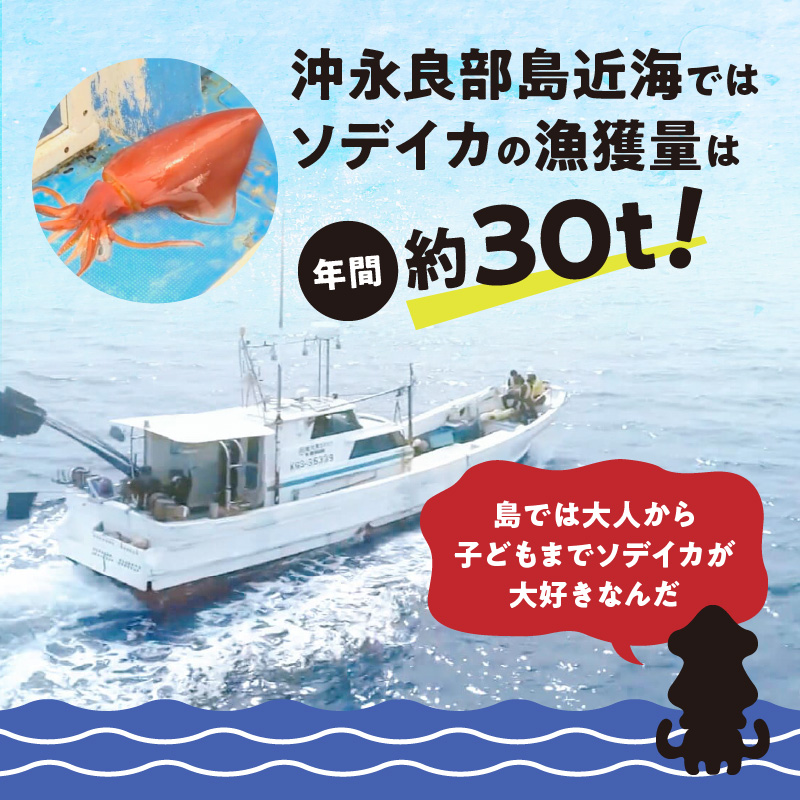 冷凍保存ＯＫ！エメラルドブルーの美しい海で育ったおいしいソデイカ冷凍ブロック約１キロ（3～4人前）！