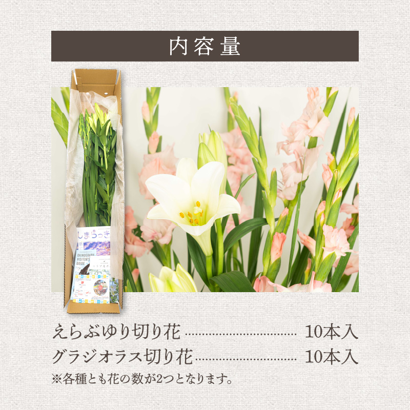 ■沖永良部島で大切に育てられた オリエンタル・カサブランカの花セット　W008-012u