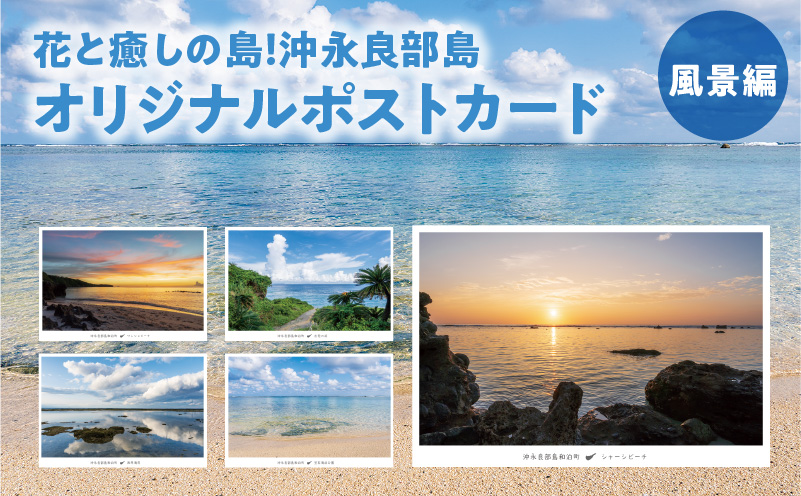 花と癒しの島！沖永良部島オリジナルポストカード（風景編）