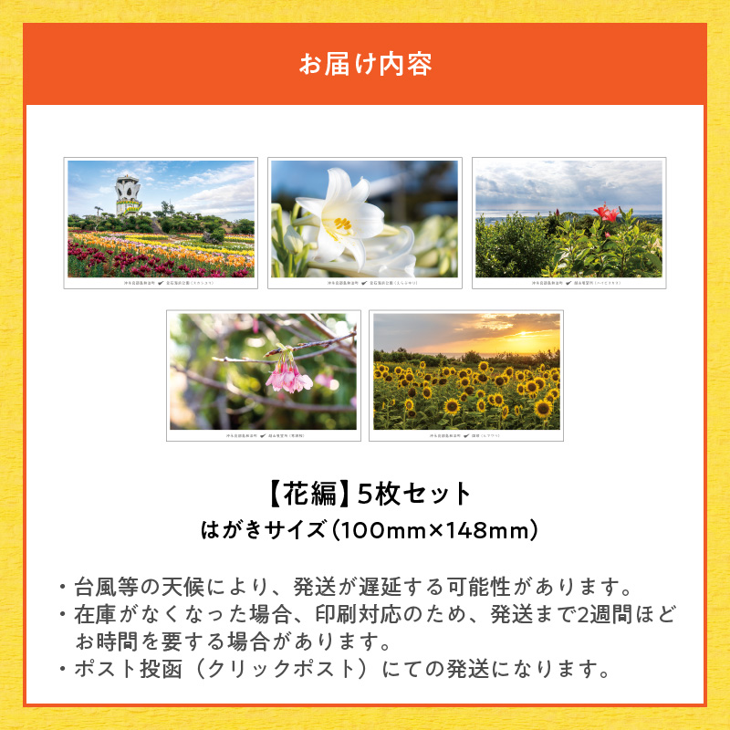 花と癒しの島！沖永良部島オリジナルポストカード（花編）