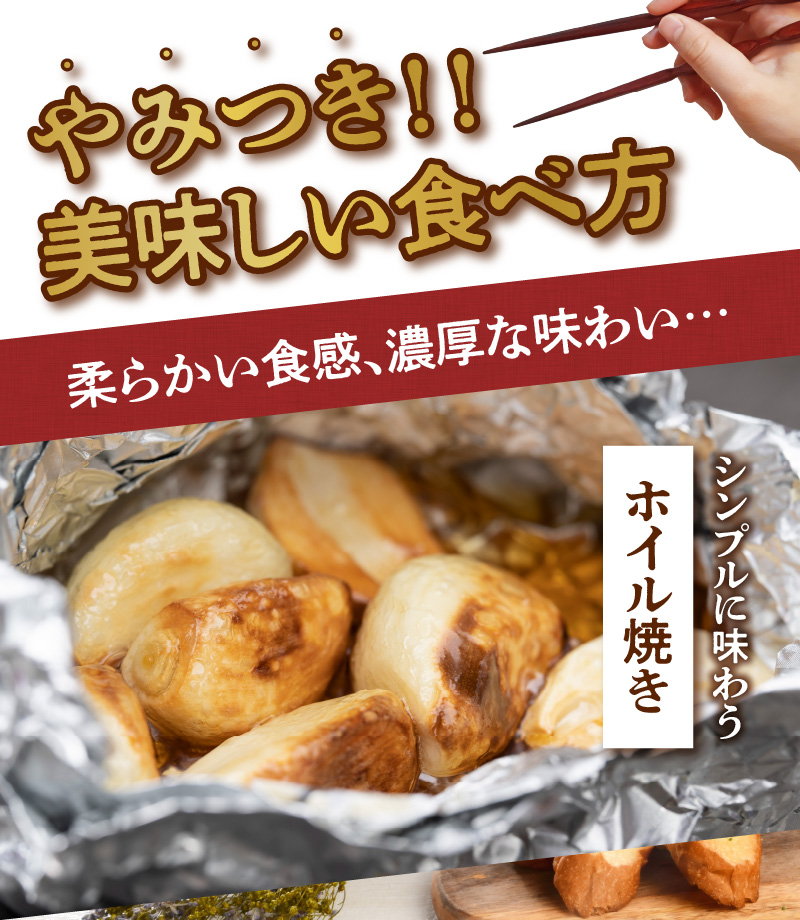 【2025年先行予約】農家厳選！南国の赤土で育んだ 沖永良部島産 生にんにく 2L玉 2kg【3月下旬〜4月下旬】　W041-002u