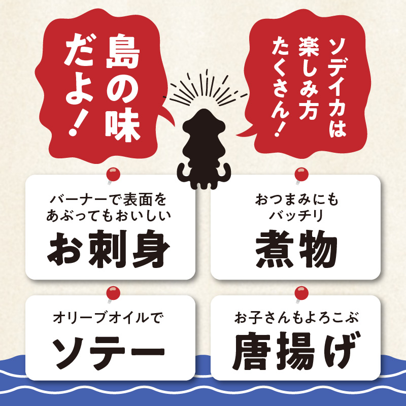 冷凍保存ＯＫ！エメラルドブルーの美しい海で育ったおいしいソデイカ冷凍ブロック約１キロ（3～4人前）！